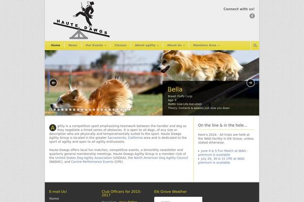 Modernize theme site design template sample