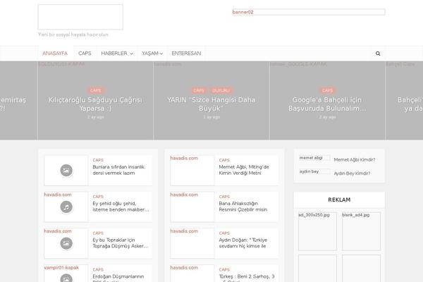 Voice theme site design template sample