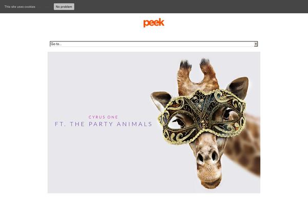Site using Wooslider plugin