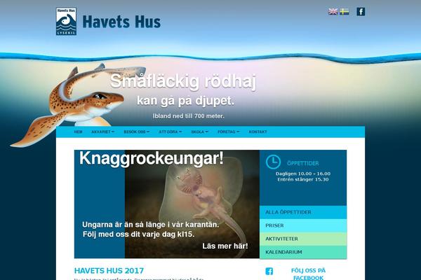 BlankSlate theme site design template sample
