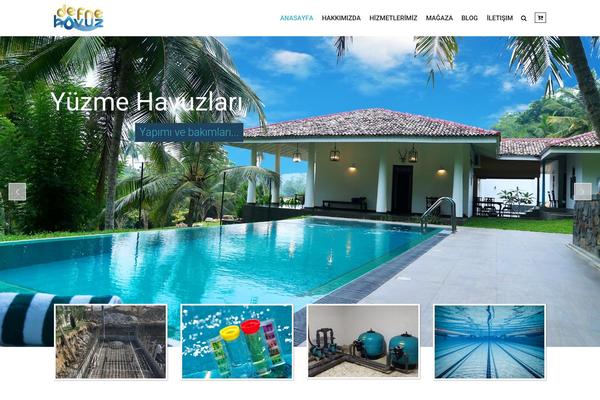 havuzhizmetleri.com site used Swimmingpool