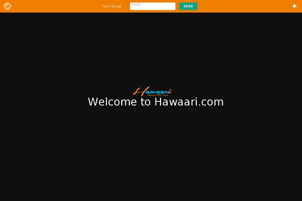 vina_news theme websites examples