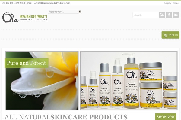Camy theme site design template sample