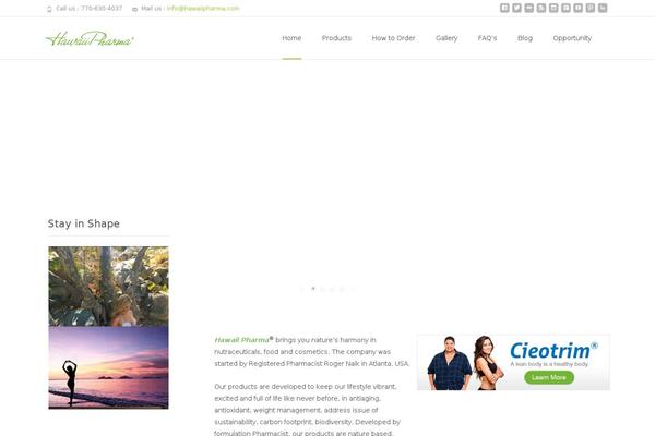 i-excel theme site design template sample