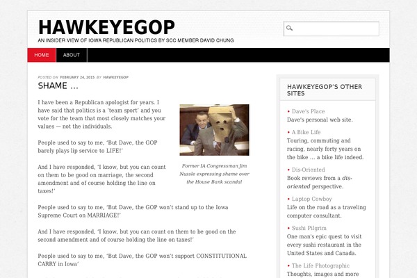 Diginews theme site design template sample