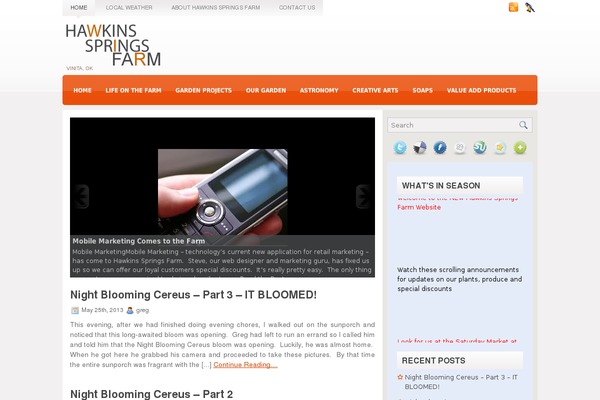 Fiesta theme site design template sample