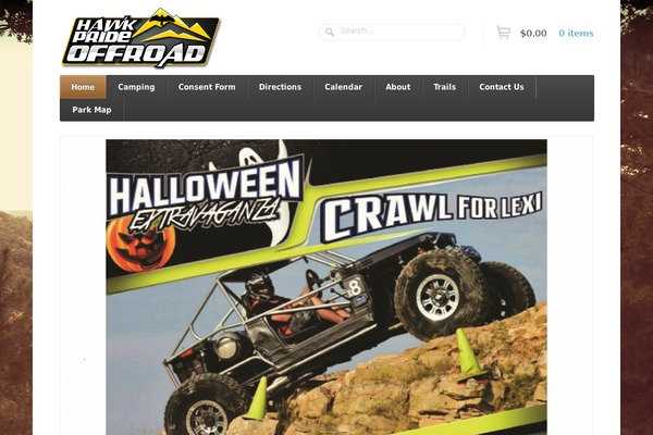 Function theme site design template sample