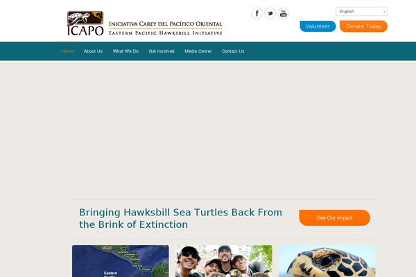 DonateNow theme site design template sample