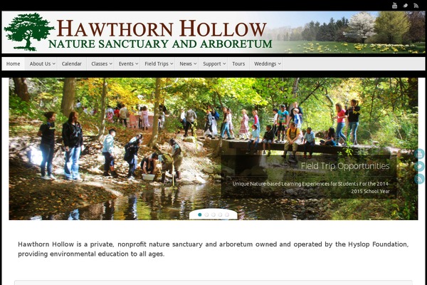 Tempera theme site design template sample