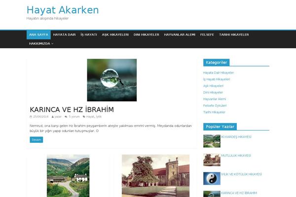 Site using Easy-affiliate-links plugin