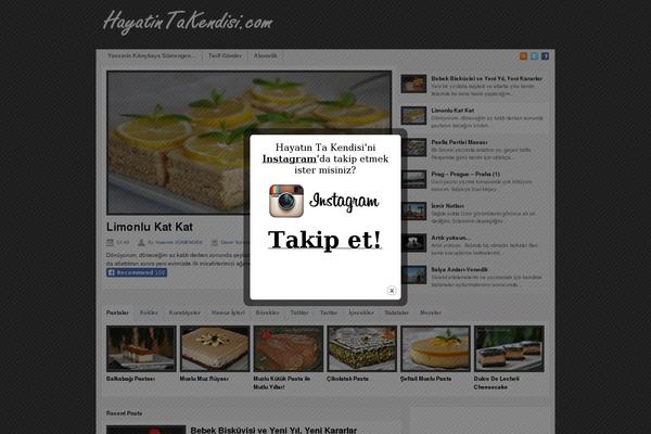 hayatintakendisi.com site used Cele
