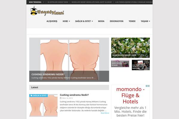 Mission News theme site design template sample