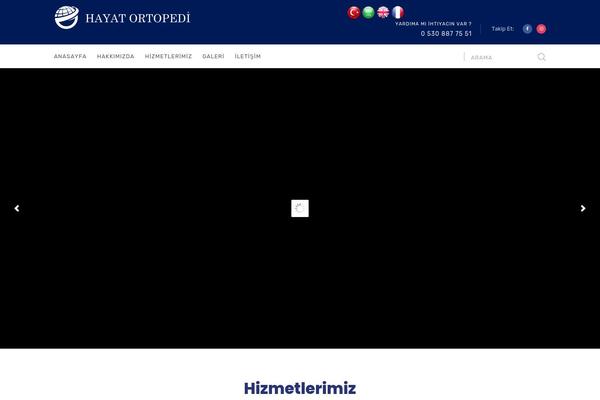 Site using Radiantthemes-mega-menu plugin