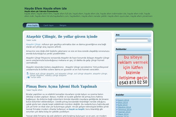 haydeefem.net site used Wsseo