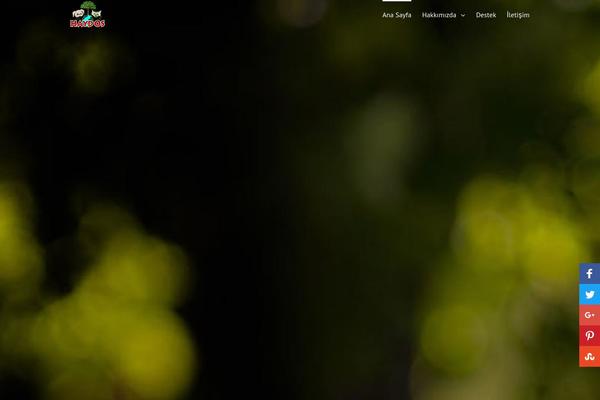 BUILDER theme site design template sample