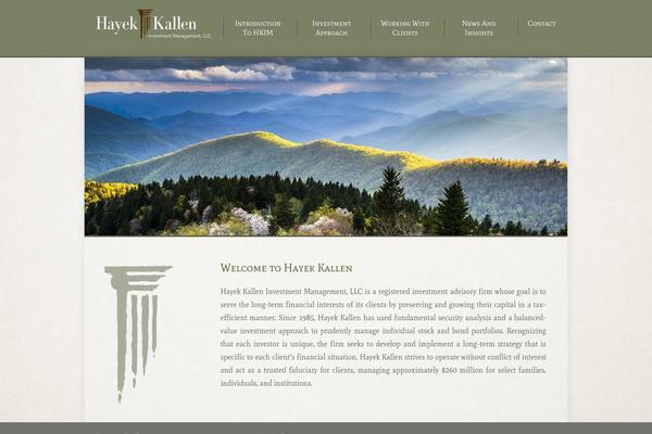 Wpex Thunder theme site design template sample