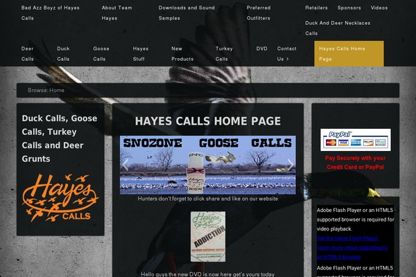 Eino theme site design template sample