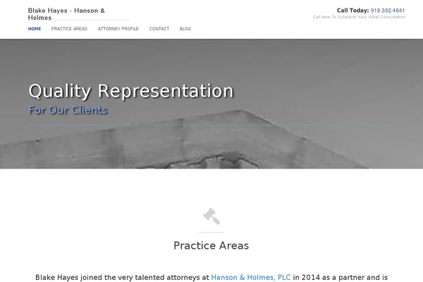 Hayes theme site design template sample