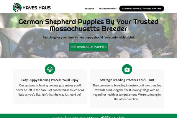 Rise theme site design template sample