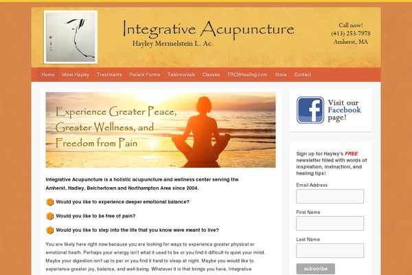 hayleymermelstein.com site used Travelify Child