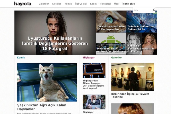 htp theme websites examples