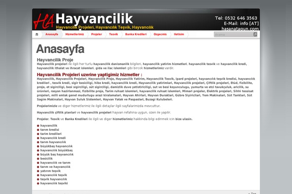 iNove theme site design template sample