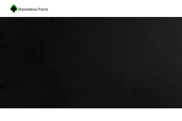 Airi theme site design template sample