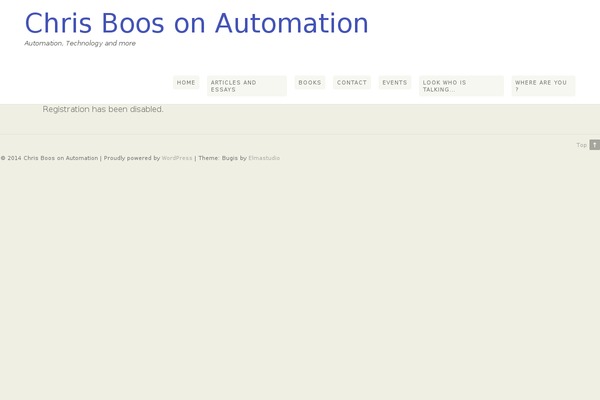 Bugis theme site design template sample