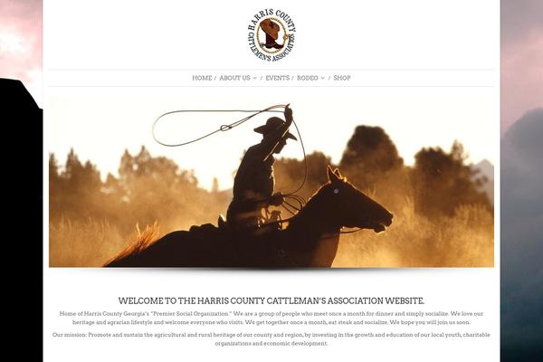 Mindig theme site design template sample
