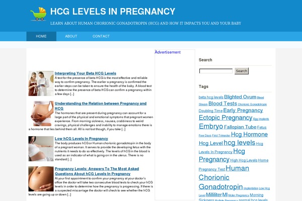 hcglevelsinpregnancy.com site used Hcg
