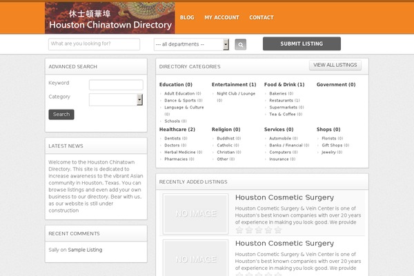 Dt theme site design template sample