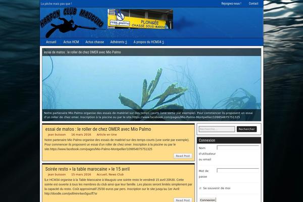 Site using PDF Embedder plugin