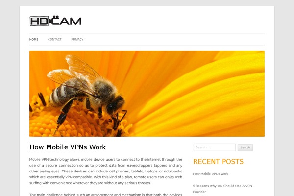 Tiny Forge theme site design template sample