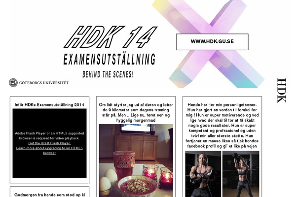 Shaken Grid Lite theme site design template sample