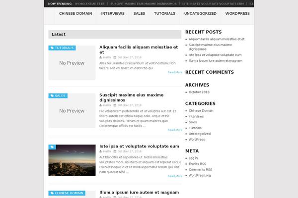 Mts_point_pro theme site design template sample