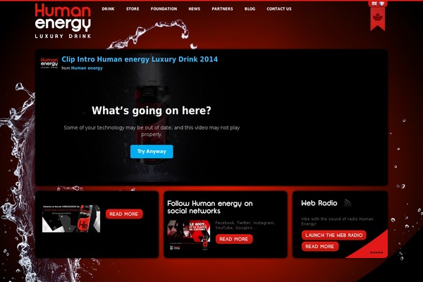 BlogoLife theme site design template sample