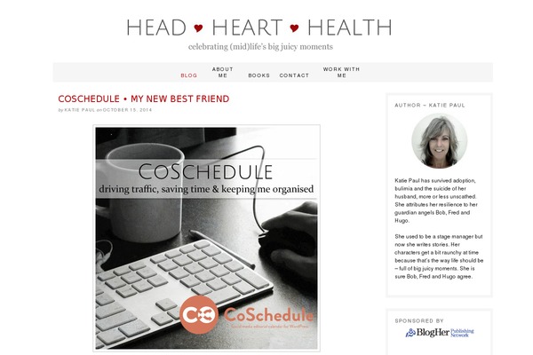 Site using WP Canvas - Responsive Videos plugin