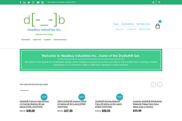 Site using Socials Ignited plugin