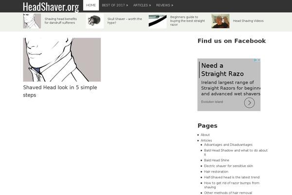 Schema Lite theme site design template sample