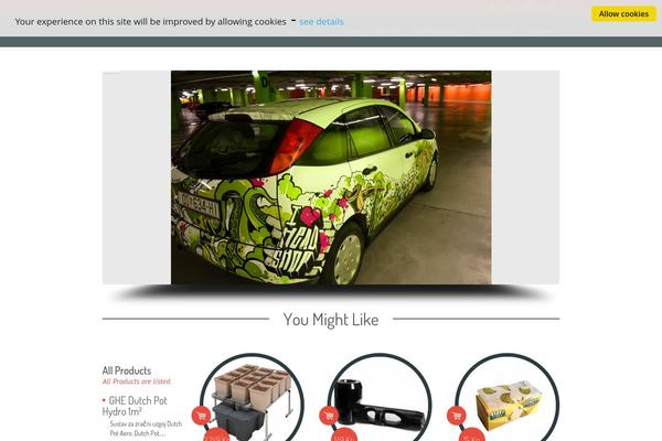allaround theme websites examples