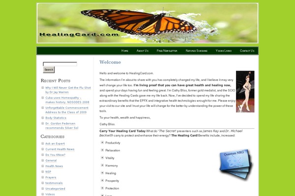 Paalam-11 theme site design template sample