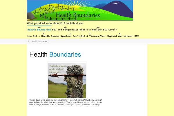 Site using BNS Add Widget plugin