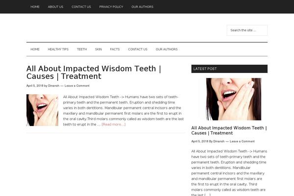 MH Magazine lite theme site design template sample