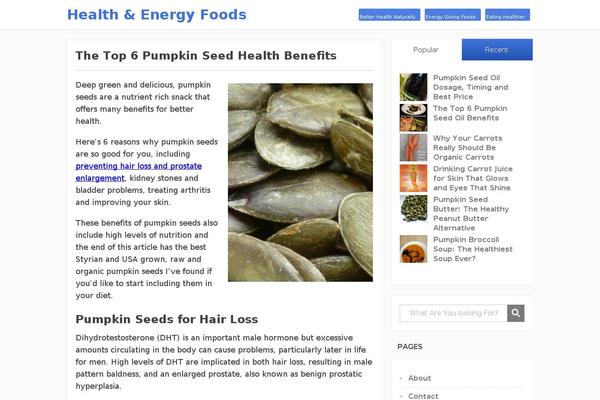 Focusblog theme site design template sample