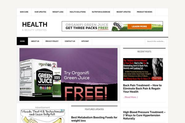 Lifestyle Pro theme site design template sample