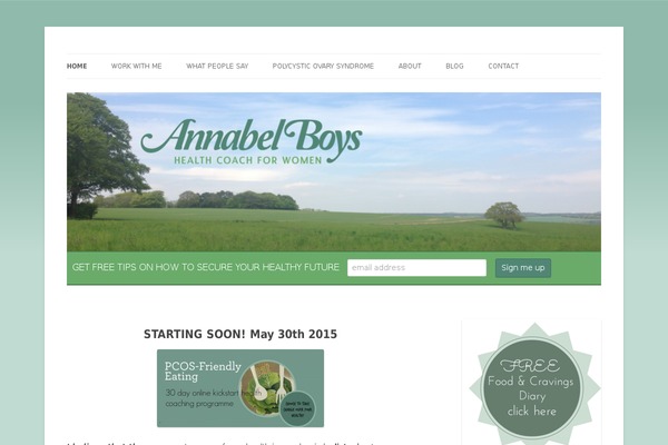 Healthcoach theme site design template sample