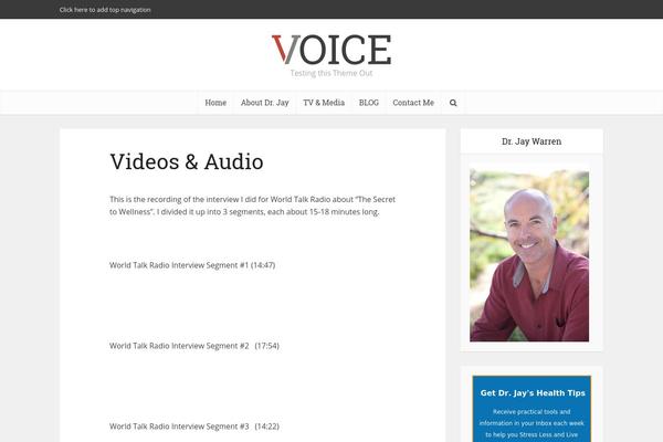 Voice theme site design template sample