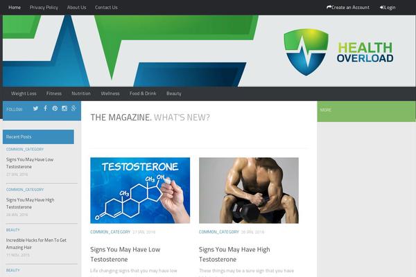 Hueman theme site design template sample