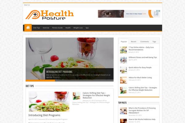 Sahifa theme site design template sample