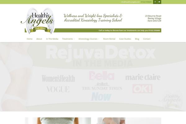 Metrolium theme site design template sample